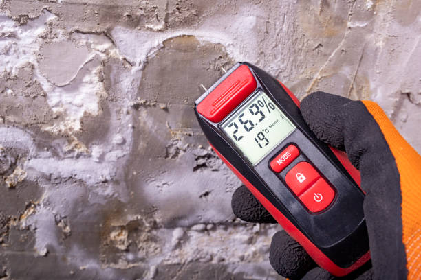 Best Bathroom Mold Remediation in St Johns, MI