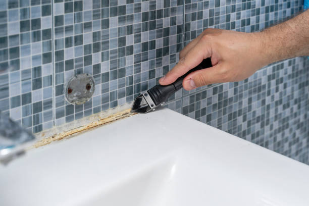 Best Preventive Mold Services in St Johns, MI